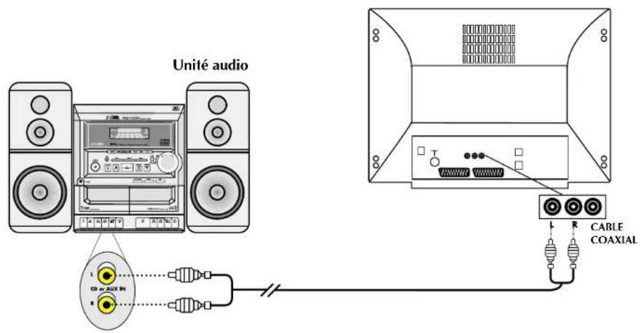 Finlux CTW2827TN DVD - BRANCHEMENTS DES SORTIES AUDIO DU DVD - 1