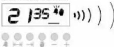 PKM EH460 GK6 - Annuleren Van Alarm - 1