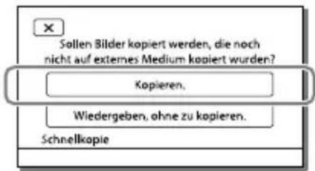 SONY HDRPJ430E - Hinweise - 2