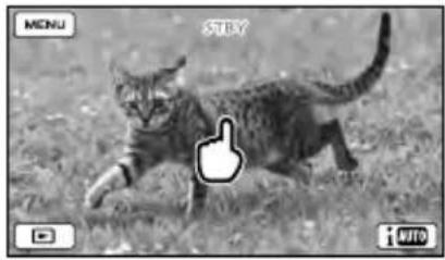 SONY HDRCX270E - Hinweise - 1