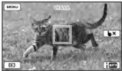 SONY HDRCX270E - Enregistrement de sujets autres que des personnes (Mise au point continue) - 3