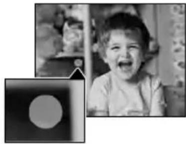 SONY HDRCX270E - Si des taches circulaires apparaisent sur les photos (HDR-CX570E/CX580E/ CX580VE/PJ580E/PJ580VE/PJ600E/PJ600VE) - 1