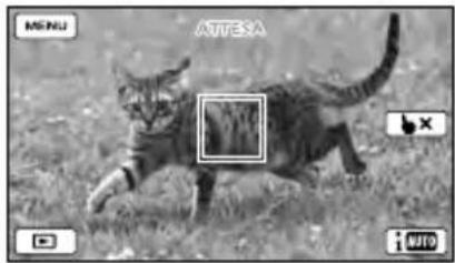 SONY HDRCX270E - Per registrar soggetti diversi delle persone (Messa a fuoco con inseguimento) - 3