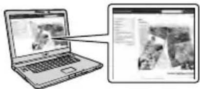 SONY HDRCX270E - A propos de ce manuel, des illustrations et des indications à l'écran - 1