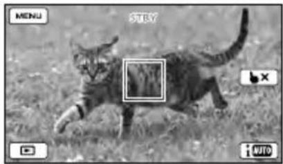 SONY HDRCX270E - Hinweise - 3