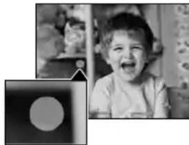 SONY HDRCX270E - Qualora delle macchie bianche circolari appaiano sulle Foto (HDR-CX570E/ CX580E/CX580VE/PJ580E/PJ580VE/PJ600E/PJ600VE) - 1