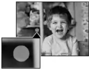 SONY HDRCX270E - Wenn runde weiß Punkte auf Fotos zu sehen sind (HDR-CX570E/CX580E/ CX580VE/PJ580E/PJ580VE/PJ600E/PJ600VE) - 1