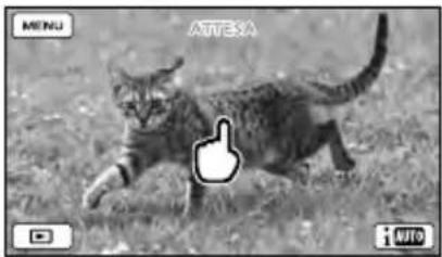 SONY HDRCX270E - Per registrar soggetti diversi delle persone (Messa a fuoco con inseguimento) - 1