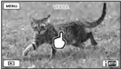 SONY HDRCX270E - Enregistrement de sujets autres que des personnes (Mise au point continue) - 1