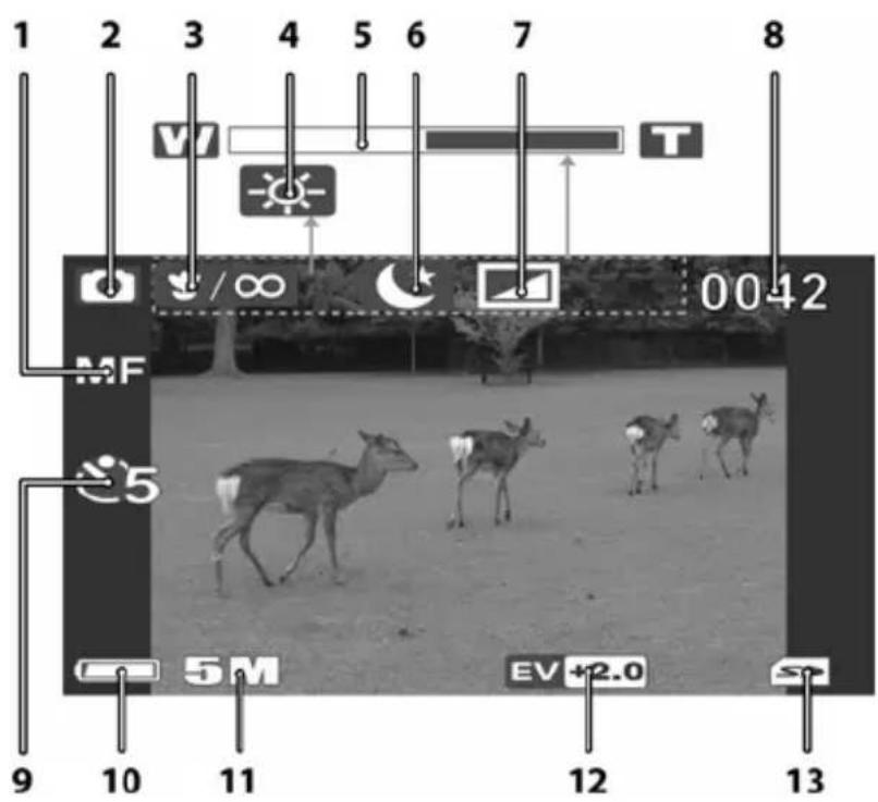 SILVERCREST SCAZ 5.00 A1 - Das Display im Fotobetrieb - 1