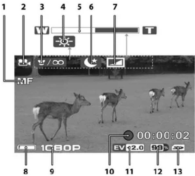 SILVERCREST SCAZ 5.00 A1 - Das Display im Videobetrieb - 1