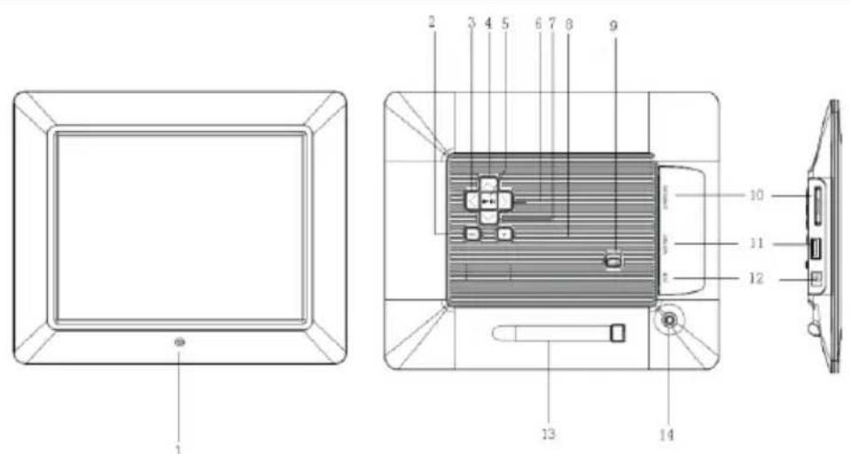 INTENSO Photo Promoter - ZARYS - 1