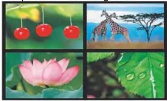 HAMA 00118595 - Variantes de presentações de diapositivos de fotografias - 2