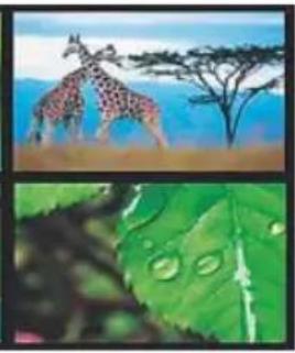 HAMA 00095295 - i NOTA - 2