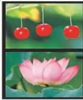 HAMA 00095295 - i NOTA - 1
