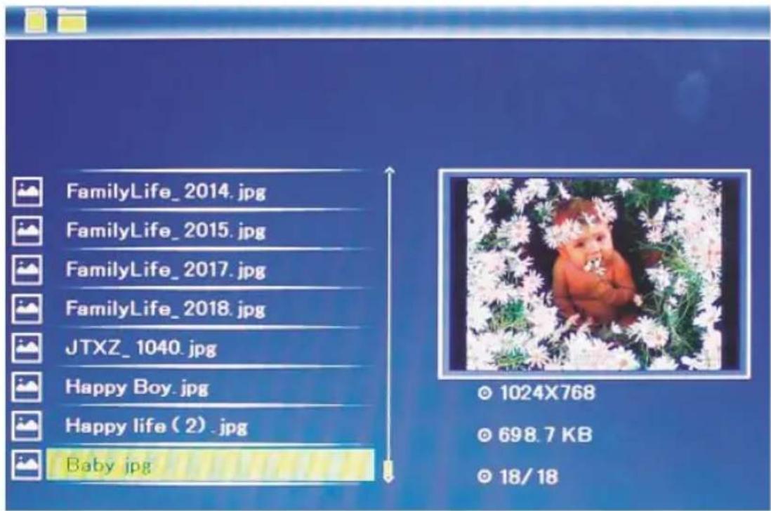 HAMA 00095290 - Folder - 2