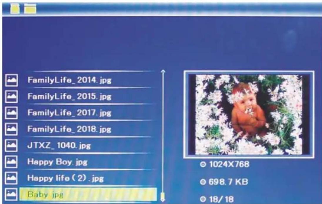 HAMA 00095290 - Map - 2