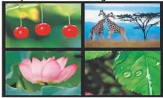 HAMA 00095290 - Variantes de presentações de diapositivos de fotografias - 2