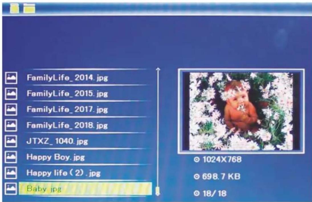 HAMA 00095290 - Folder - 2