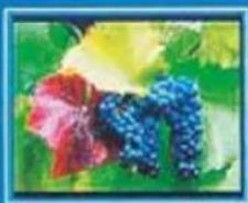 HAMA 00095290 - Imagine - 8
