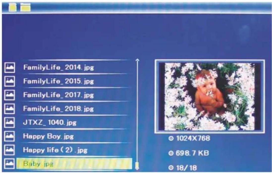 HAMA 00095290 - Dossier - 2