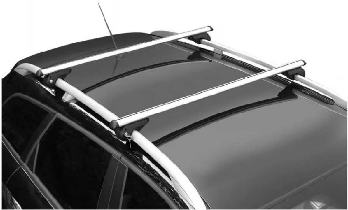 Pro-User SNEPP ALU 50017 - ALLESDRAGER RELINGTRÄGER ROOF BAR BARRES DETOIT - 1