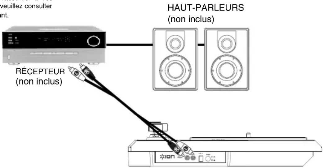 ION Live LP - Scheme de Connexion - 1