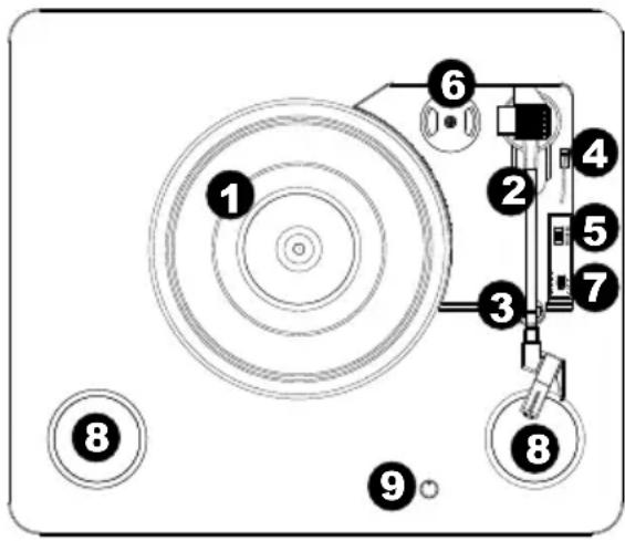 ION Live LP - Caratteristiche - 1