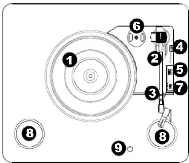 ION Live LP - Characteristicas - 1