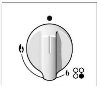 VIVA VVG6B2P50 - Gasbranders - 1