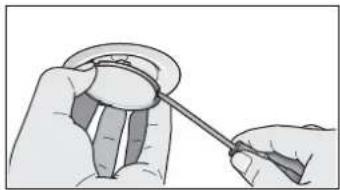 VIVA VVA66E652 - Replacing halogen bulbs - 1