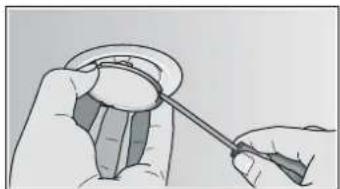 VIVA VVA62E450 - Replacing halogen bulbs - 1