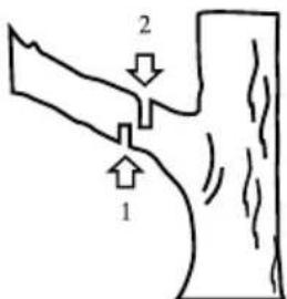 GARLAND Montana First - TAGLIO DEI RAMI DI UN ALBERO - 1