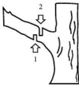 GARLAND Montana First - CORTE DE UMA RAMO NUMA ARVORE - 1