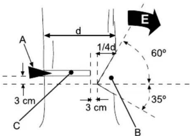 GARLAND Montana First - TIRARE UN ALBERO - 2