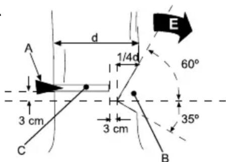 GARLAND Montana 920 - CORTE OU DESBASTE DE UMA ARVORE - 2
