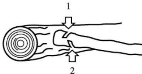 GARLAND Montana 920 - CORTE DE UM TRONCO APOIADO NO SOLO - 2