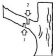 GARLAND Montana 920 - CORTE DE UMA RAMO NUMA ARVORE - 1