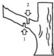 GARLAND Montana 718 - CORTE DE UNA RAMA DE UN ARBOL - 1