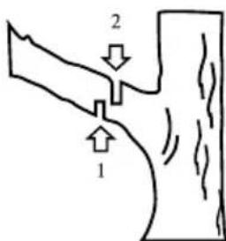 GARLAND Montana 516 - COUPE d'une branche d'un ARBRE - 1