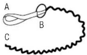 GARLAND Montana 110 - PREPARATION DE LA TRONÇONNEUSE POUR SON UTILISATION DANS L'ARBRE - 1