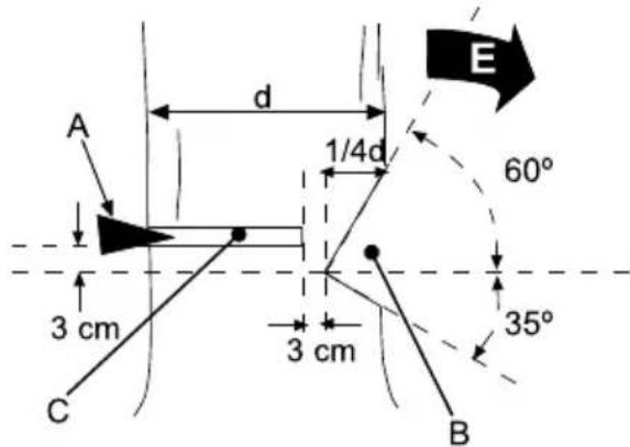 GARLAND Montana 110 - FELLING A TREE - 2
