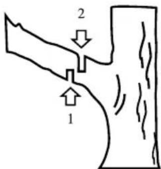 GARLAND Montana 110 - CORTE DE UNA RAMA DE UN ÁRBOL - 1