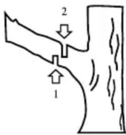 GARLAND Montana 110 - CUTTING A TREE BRANCH - 1