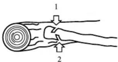 GARLAND Montana 110 - CUTTING THE BRANCHES OF A FELLED TREE - 1