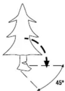 GARLAND Bulk First E - 7.3.1.PIEIMO  ENTPOY - 1