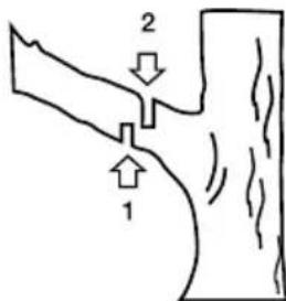 GARLAND Bulk First E - COUPE d'une branche d'un ARBRE - 1