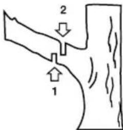 GARLAND Bulk First E - CORTE DE UMA GALHO DE UMA ARVORE - 1