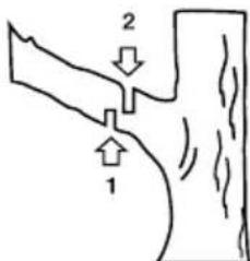 GARLAND Bulk First E - 7.3.4.CUTTING THE BRANCH FROM A TREE - 1