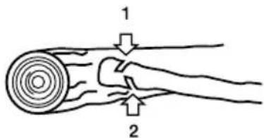 GARLAND Bulk First E - CORTE DOS GALHOS DE UMA ARVORE CAIDA - 1